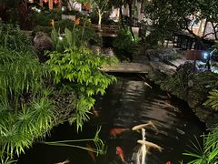 -聚福宝合苑食府(南头镇店)