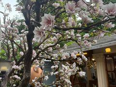 -Lamant Manor已闻花名关於蓝
