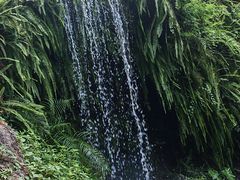-厦门鸿山寺