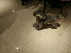 -阿英煲(凉城路店)