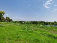 -上海长兴岛郊野公园