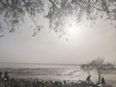 -宝安西湾红树林湿地公园