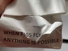 -WHEN PIGS FLY当猪飞