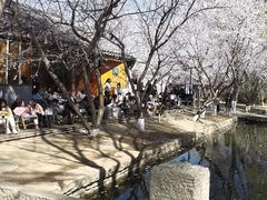 -春风习习