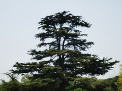 -国家植物园南园