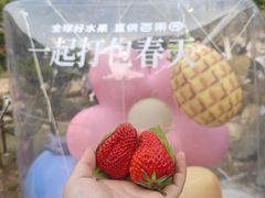 -堤角公园