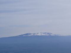 -朴小妹人参鸡汤火锅(长白山万达店)