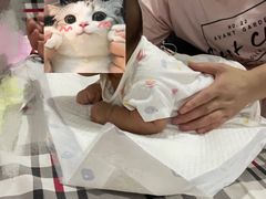 -千户高端家政育儿嫂·保姆·儿童陪伴师