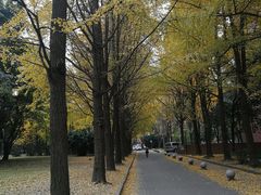-西南交通大学(九里校区)