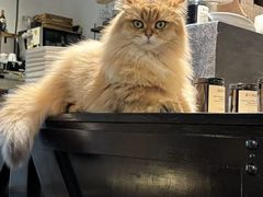 -自由生长植物工作室(深港花卉中心店)