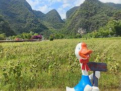 -靖西鹅泉风景区