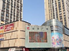 -青枫公园