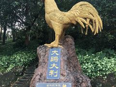 -海口火山口国家地质公园