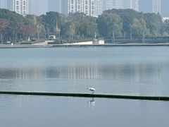 -尚贤河湿地