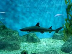 -福州罗源湾海洋世界旅游区