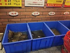 水产区-状元甲·湖北甲鱼大王(汉口火车站店)