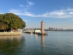 -无锡蠡湖国家湿地公园-蠡园