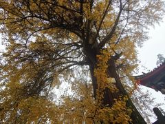 -金堂县云顶石城风景区