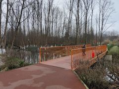 -桤木河湿地公园