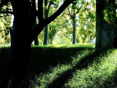 -天鹅湖体育公园
