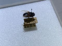 -上海昆虫博物馆