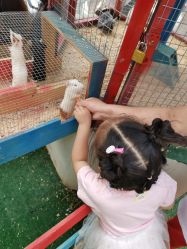 -萌宠亲子动物乐园(槐房万达店)