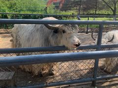 -长白岛森林公园