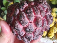 -林旺社区水果市场