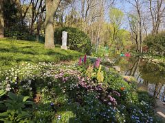 -上海共青森林公园