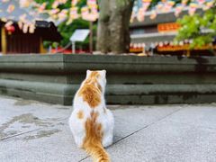 -龙华寺