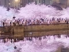 -西北湖绿化广场