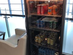 -虹桥机场国航贵宾室v8