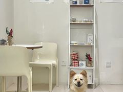 -Oasis coffee燕谷咖啡(公信店)