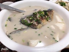 鱼头豆腐-张一品食府