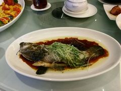 蒸龙躉仔-春满园·早茶·粤菜·宴会(前海店)