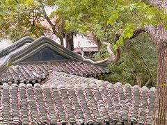 -西园戒幢律寺