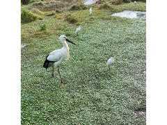 -普洱太阳河森林公园