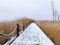 -野鸭湖国家湿地公园