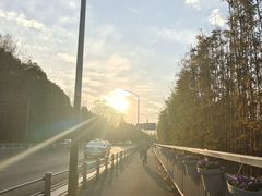 -小董骨汤馄饨店(通扬路店)