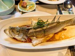 -十八棵（老龙井）御茶园(老龙井店)