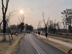 -白鹭湾湿地公园