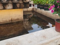 -瓦库茶馆17号(海汇港店)