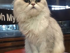 -Oh My Dog宠物沙龙(伊珊娜皮毛护理店)