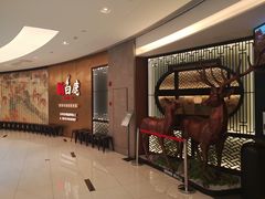 等位区-新白鹿餐厅(虹桥南丰城店)