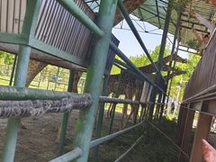 -秦皇岛野生动物园