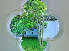 -上海醉白池公园