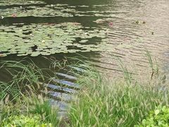 -仙女湖公园