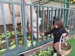 -小蜜蜂农场(凯德七宝购物广场店)