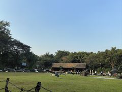 -广州长隆飞鸟乐园