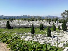 -原山国家森林公园